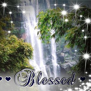 Meet your Posher, Ernesto